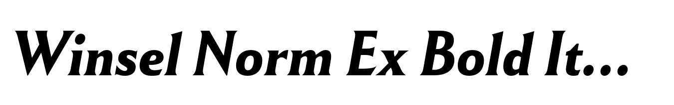 Winsel Norm Ex Bold Italic